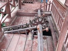 -荷塘月色湿地公园·向阳花洲