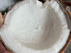 -龙泉人椰子鸡.糟粕醋.海南菜(三亚旗舰店)
