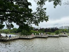 -江心屿景区