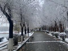 -丁香湖公园
