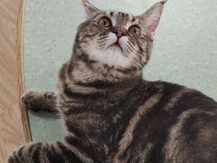 -猫和宫(六道口店)