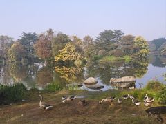 -海珠湖公园