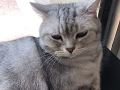 -平行世界·猫咖(首经贸店)