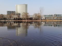 -大兴滨河森林公园