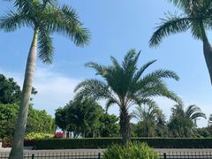 -黄金海岸环岛路