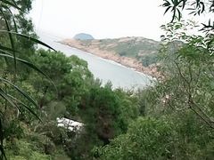 -广东惠东海龟国家级自然保护区