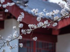 -堤角公园