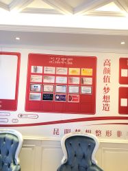 点击看大图 -昆明梦想医疗美容医院