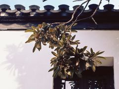 -南京市民俗博物馆(甘熙宅第)