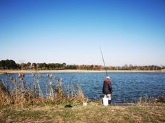 -春花秋色城市公园