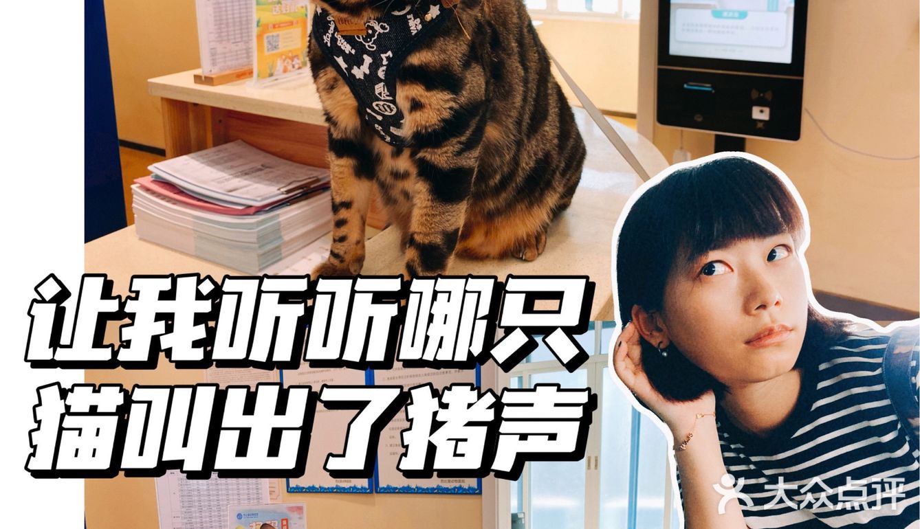 体验|猫咪打疫苗—丢脸丢到姥姥家🐈👵🏻