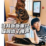体验|猫咪打疫苗—丢脸丢到姥姥家🐈👵🏻