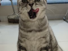 -怪兽屋·羊驼·猫咖·狗咖(俊华广场店)