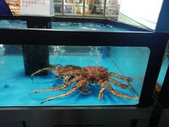 -麦德龙(郑东店)