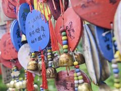 -西双版纳原始森林公园