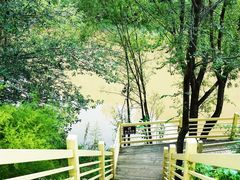 -百里山水画廊乌龙峡谷