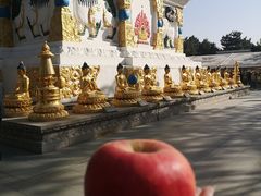 -护国法轮寺