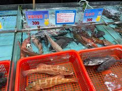 -渔民新村(番禺总店)