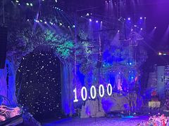 -广州长隆国际大马戏