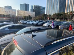 场地-大宁郁金香公园-停车场