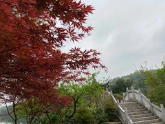 -重庆园博园