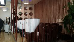 20150202_115434-尚·丹尼Hair