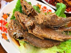 -谢记上海大排档(长寿路店)