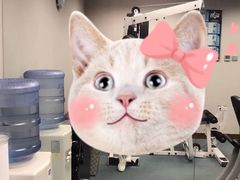 -香港珀丽酒店