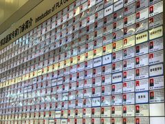 -中国人民解放军总医院