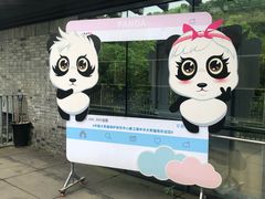 -都江堰中华大熊猫苑