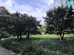 -静安公园(静安寺街道)