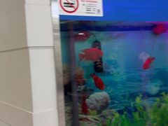 -雅悦齿科(顾村公园店)