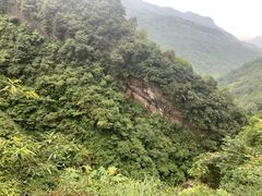 -龙窝子