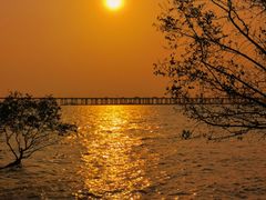 -宝安西湾红树林湿地公园