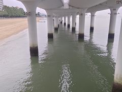 -演武大桥观景平台