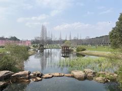 -宜兴龙背山森林公园