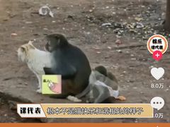 -昆明动物园