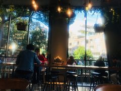 -The Grounds of Alexandria