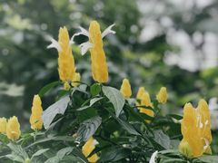 -北京植物园-展览温室