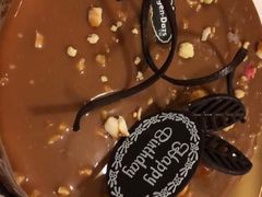 -百好乐宠物友好餐厅(朝外大街店)