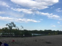 -东郊湿地公园