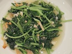 -粤珍轩·家宴·广式茶点(新城广场店)
