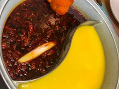 -青瓷火锅料理(西单大悦城店)