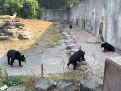 -宁波野生动物园