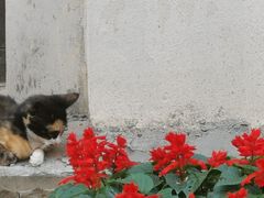 -两江国际影视城