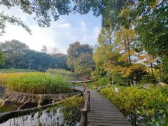 -成都市活水公园