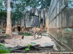 -南宁市动物园