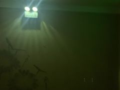 -常乐·对症推拿(世豪第30分店)