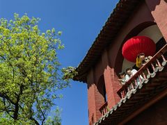 -太白楼-济宁运河核心景区