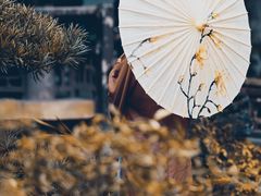 -成都杜甫草堂博物馆